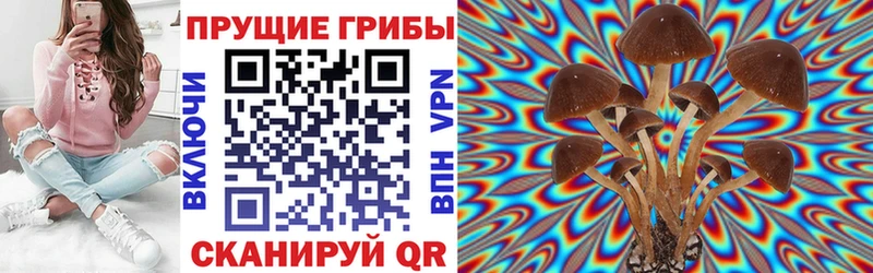 Псилоцибиновые грибы GOLDEN TEACHER Купить закладки Волчанск