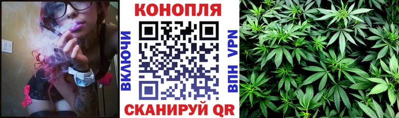 Канабис планчик Волчанск
